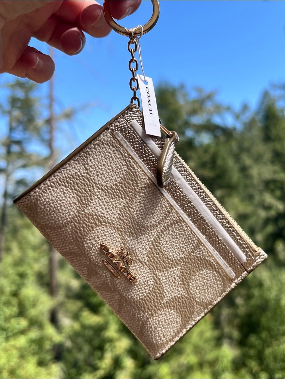 COACH Mini Skinny ID Case Cardholder Wallet & Keychain NWT CW966